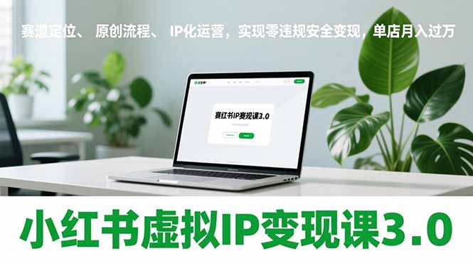 小红书虚拟IP变现课3.0，赛道定位、原创流程、IP化运营，实现零违规安全变现，单店月入过万-baizmi