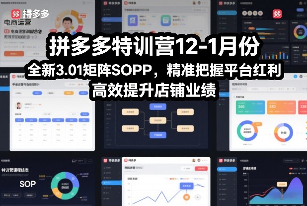 拼多多特训营12-1月份，全新3.01矩阵Sop，精准把握平台红利，高效提升店铺业绩-baizmi