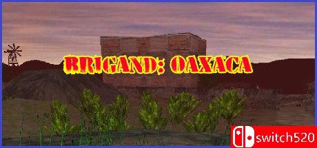 《盗团：瓦哈卡（Brigand: Oaxaca）》v17.6 [英文]-baizmi
