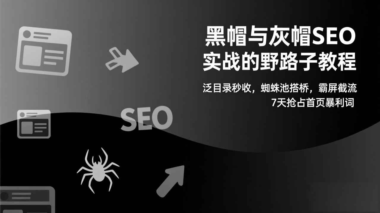 黑帽与灰帽SEO实战的野路子教程：泛目录秒收，蜘蛛池搭桥，霸屏截流，7天抢占首页暴利词-baizmi