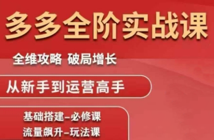 大炮·拼多多全阶实战课程(更新2026)-baizmi