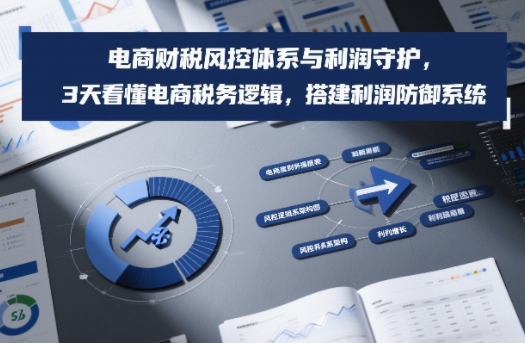 电商财税风控体系与利润守护，3天看懂电商税务逻辑，搭建利润防御系统-baizmi