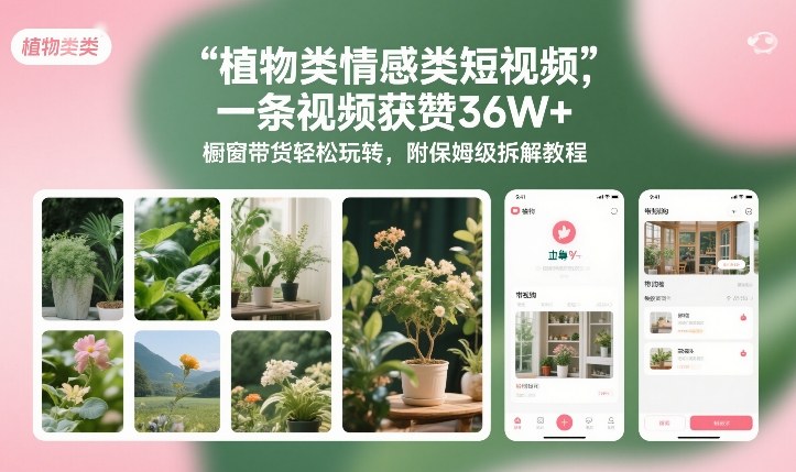 植物类情感类短视频，一条视频获赞36W+，橱窗带货轻松玩转，附保姆级拆解教程-baizmi