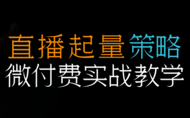半野老师·直播带货起量与微付费必学课视频号(更新2026)-baizmi