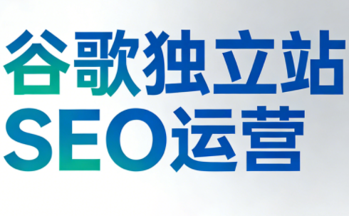 谷歌独立站SEO运营(更新2026)-baizmi