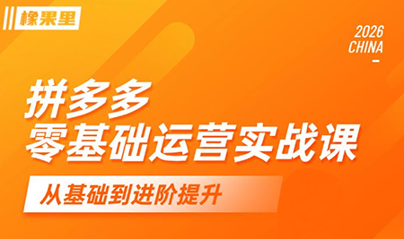 仙道电商·拼多多零基础运营实战课-baizmi