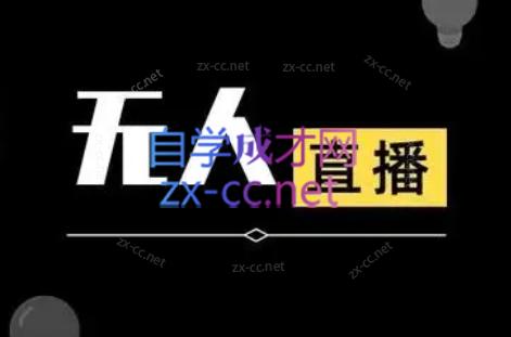 宝子哥·无人直播-非实时防风技术(更新6月)-baizmi