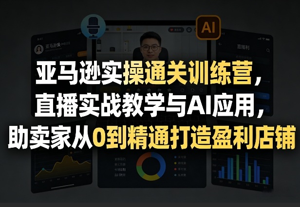 亚马逊实操通关训练营，直播实战教学与AI应用，助卖家从0到精通打造盈利店铺(更新6月18日)-baizmi