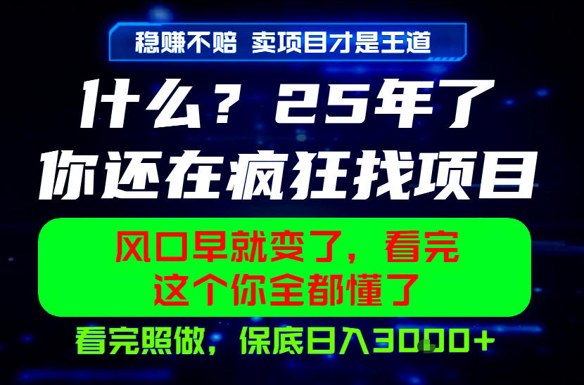 26年，请不要疯狂的找项目做了！卖项目才是真的稳賺不赔，看完照做，保底日入1k+【揭秘】-baizmi