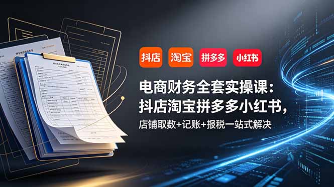 电商财务全套实操课：抖店淘宝拼多多小红书，店铺取数+记账+报税一站式解决-baizmi