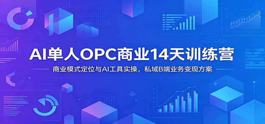 AI单人OPC商业14天训练营：商业模式定位与AI工具实操，私域B端业务变现方案-baizmi