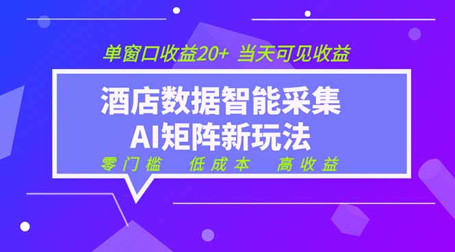 2026酒店数据采集ai智能矩阵新风口  低成本   高收益   当天见收益   单窗口20+-baizmi