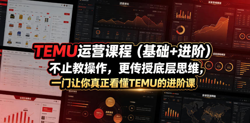 TEMU运营课程(基础+进阶)，不止教操作，更传授底层思维，一门让你真正看懂TEMU的进阶课-baizmi