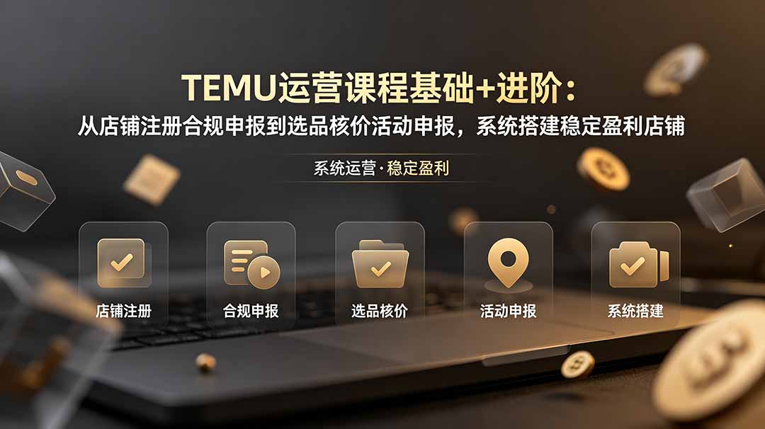 TEMU运营课程(基础+进阶-baizmi