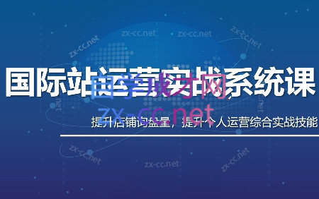 白老师·国际站运营实战系统(高质量询盘增长课)(更新)-baizmi