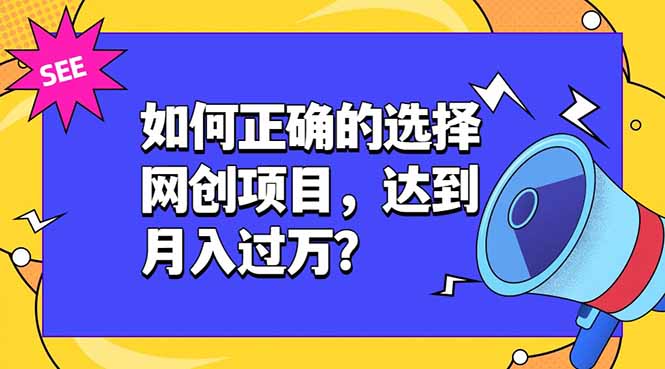 如何正确的选择网创项目，达到月入过万？，本课程教你正确选择项目。-baizmi